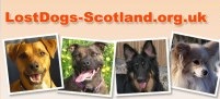 Lost Dogs Scotland