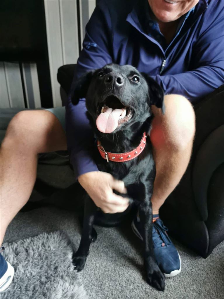 Pet Image